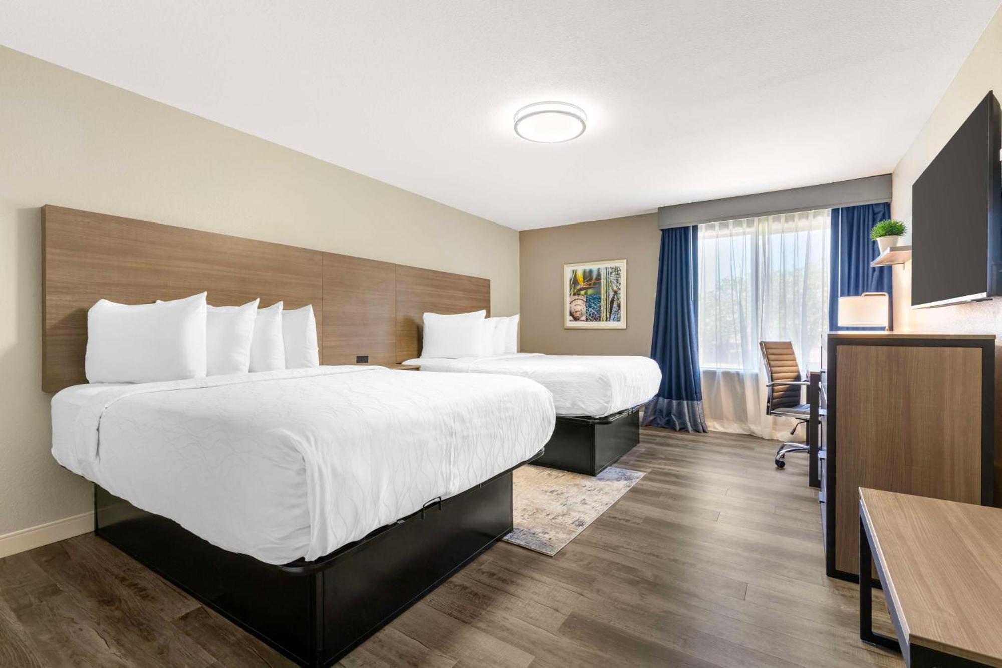 Best Western Plus Lewisville Flower Mound Exteriör bild
